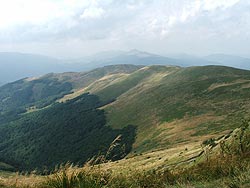 Domki na Kamiennej Laworcie - Domki całoroczne w Bieszczadach