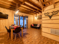 Domki na Kamiennej Laworcie - Domki całoroczne w Bieszczadach