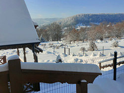 Domki na Kamiennej Laworcie - Domki całoroczne w Bieszczadach